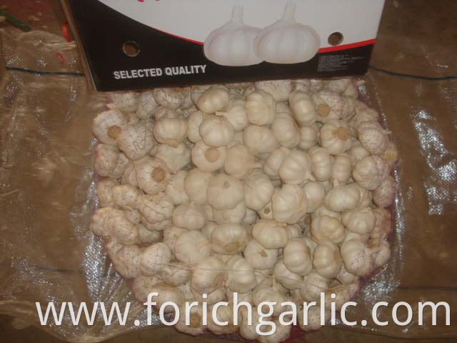 Pure White Garlic